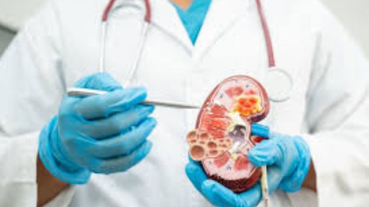 Aydın’da Dünya Böbrek Günü Etkinliği01