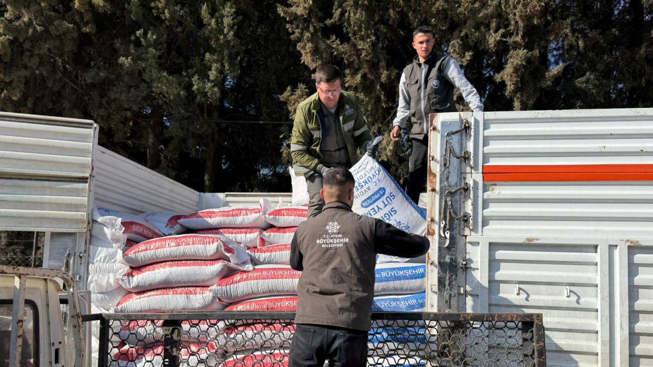 Aydın’da Hayvancılığa Destek Hamlesi 2