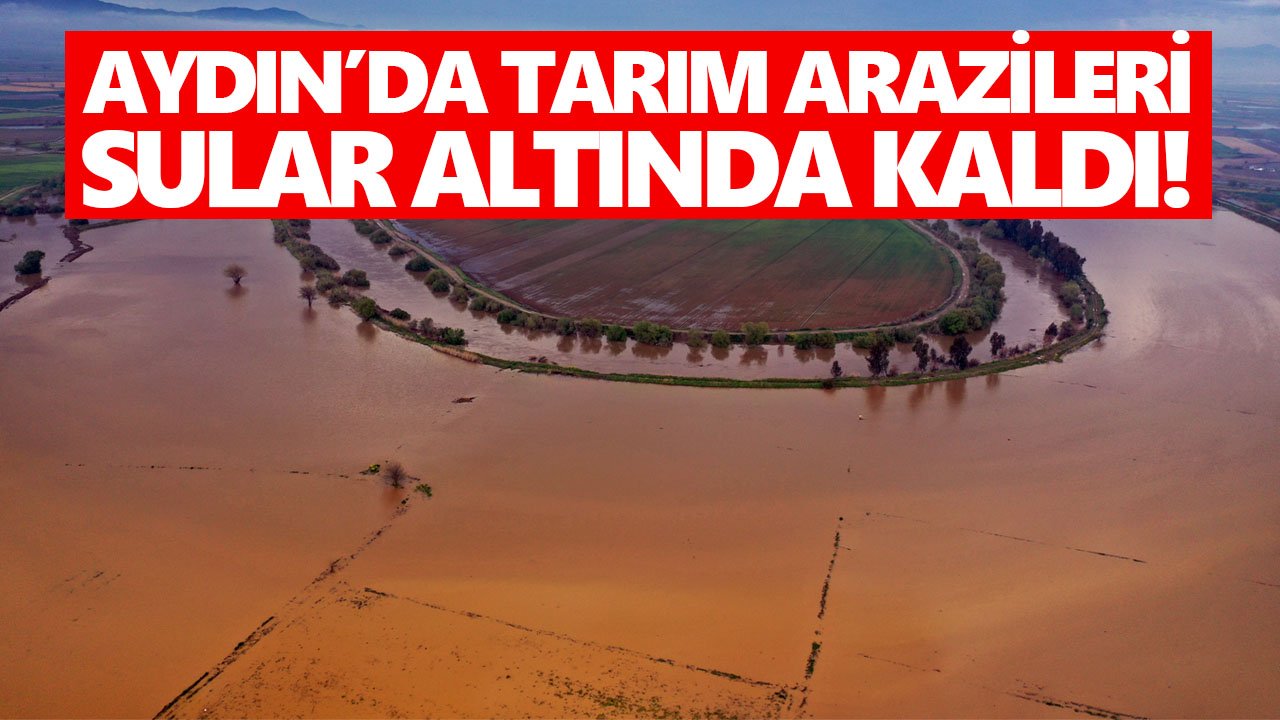 Aydın’da tarım arazileri sular altında kaldı!