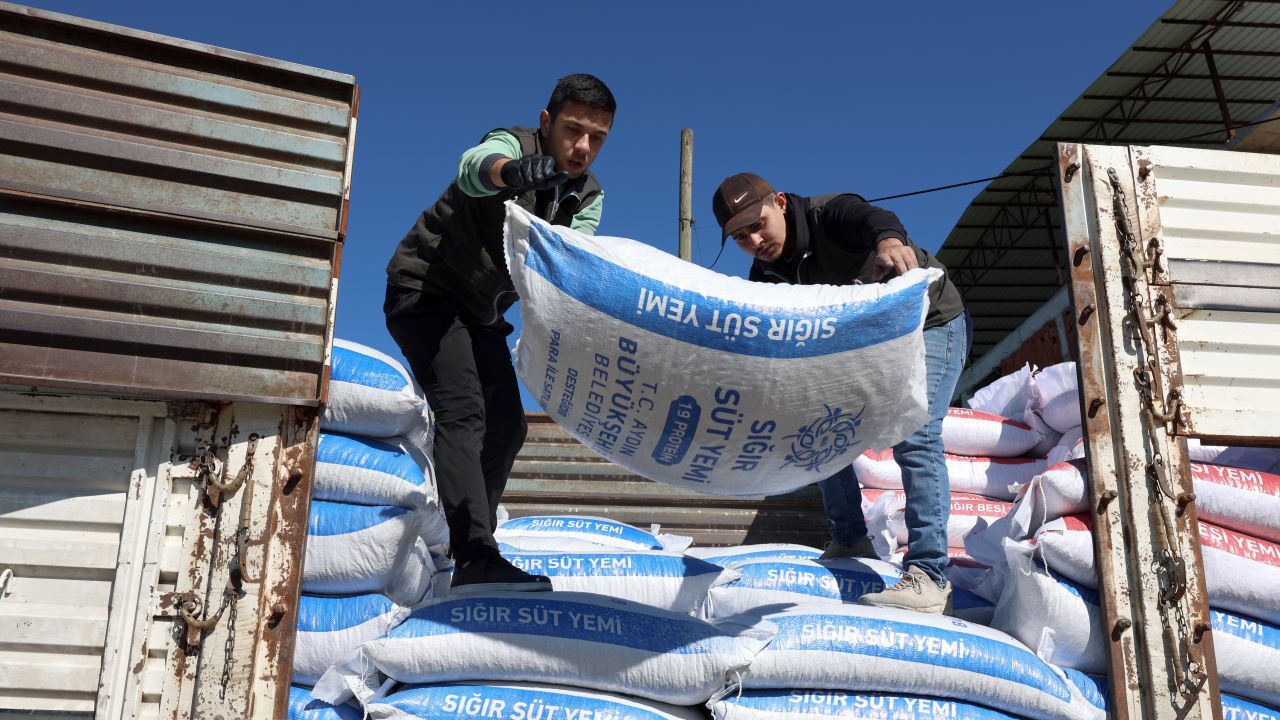 Büyükşehirden Üreticilere Yönelik Yem Desteği Sürüyor 1