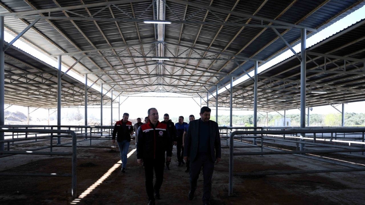 Çineli Üreticiye Müjde! 9 Ay Sonra Yeniden Açılıyor01