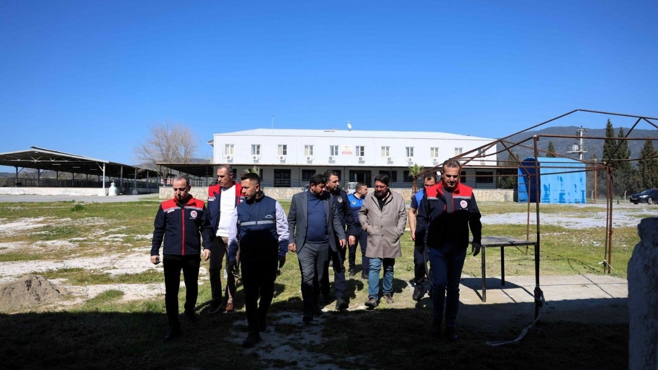 Çineli Üreticiye Müjde! 9 Ay Sonra Yeniden Açılıyor1