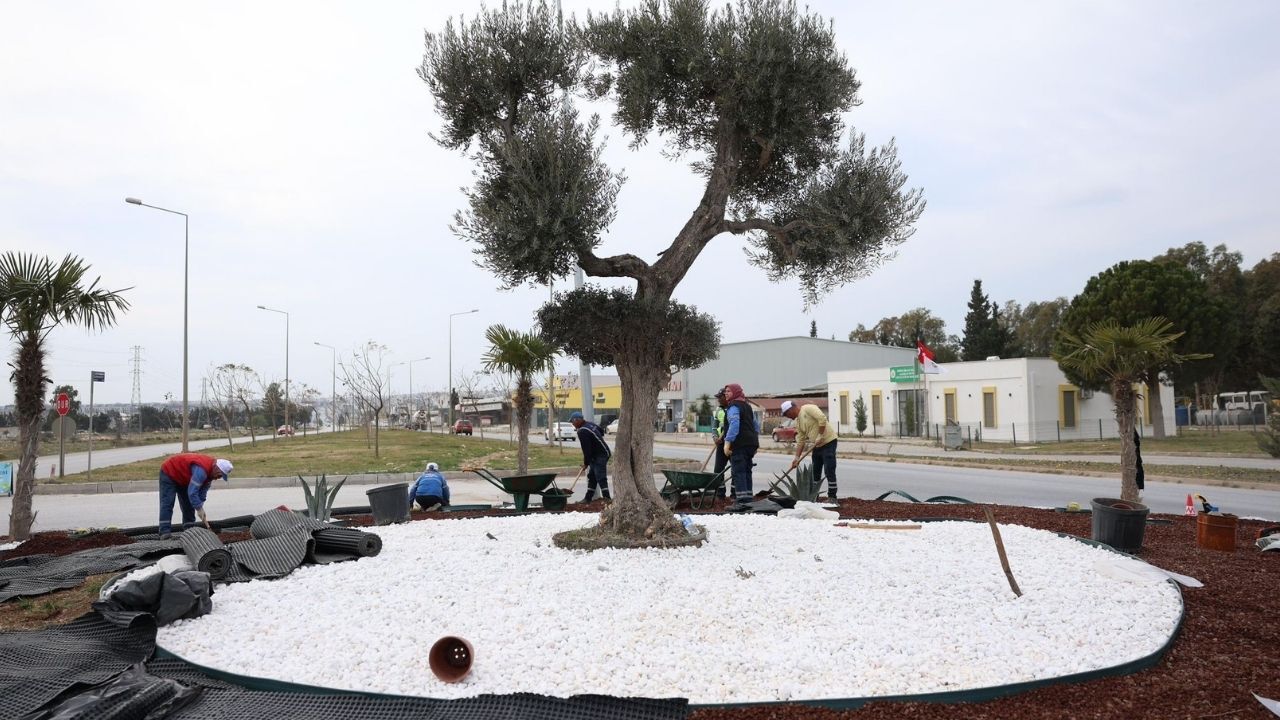 Didim Belediyesi’nden Kent Girişine Estetik Dokunuş