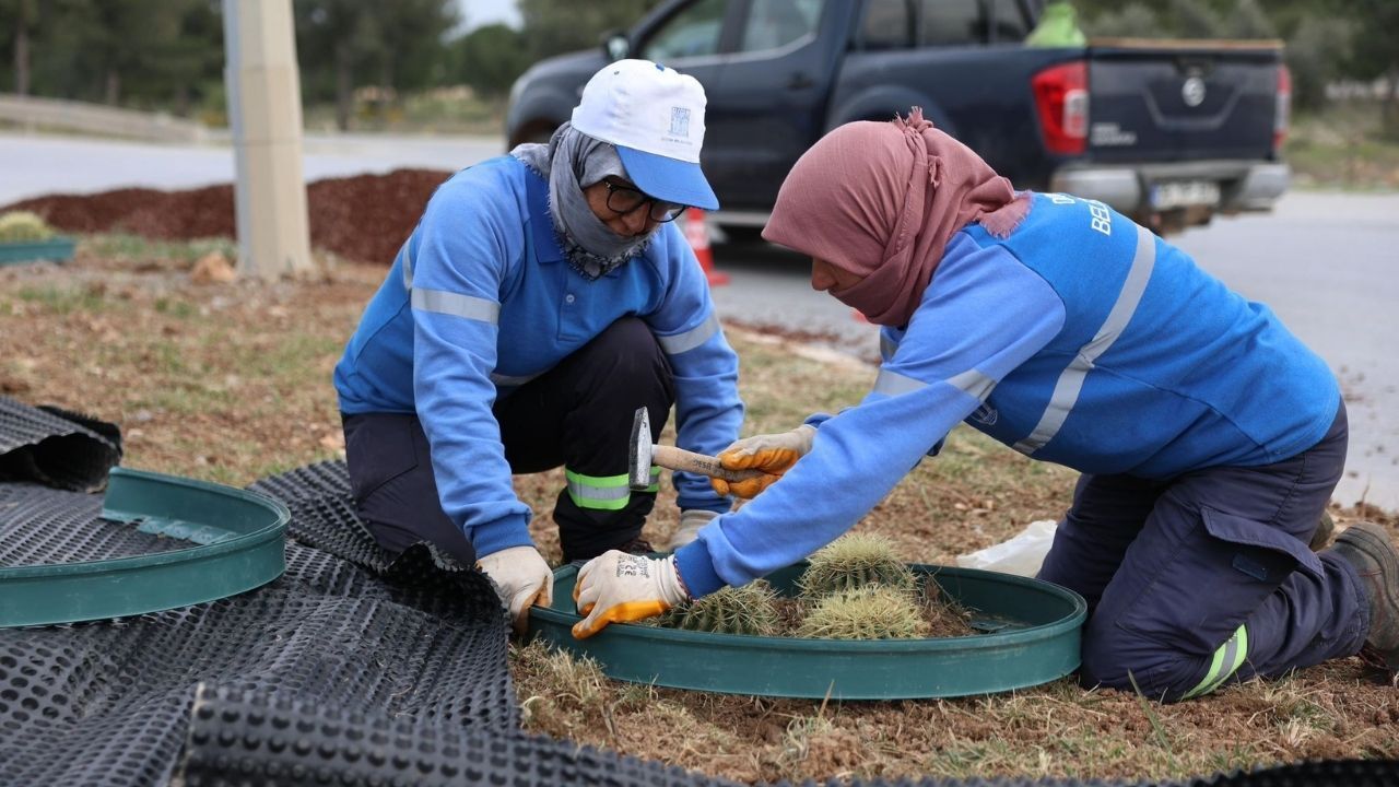 Didim Belediyesi’nden Kent Girişine Estetik Dokunuş2