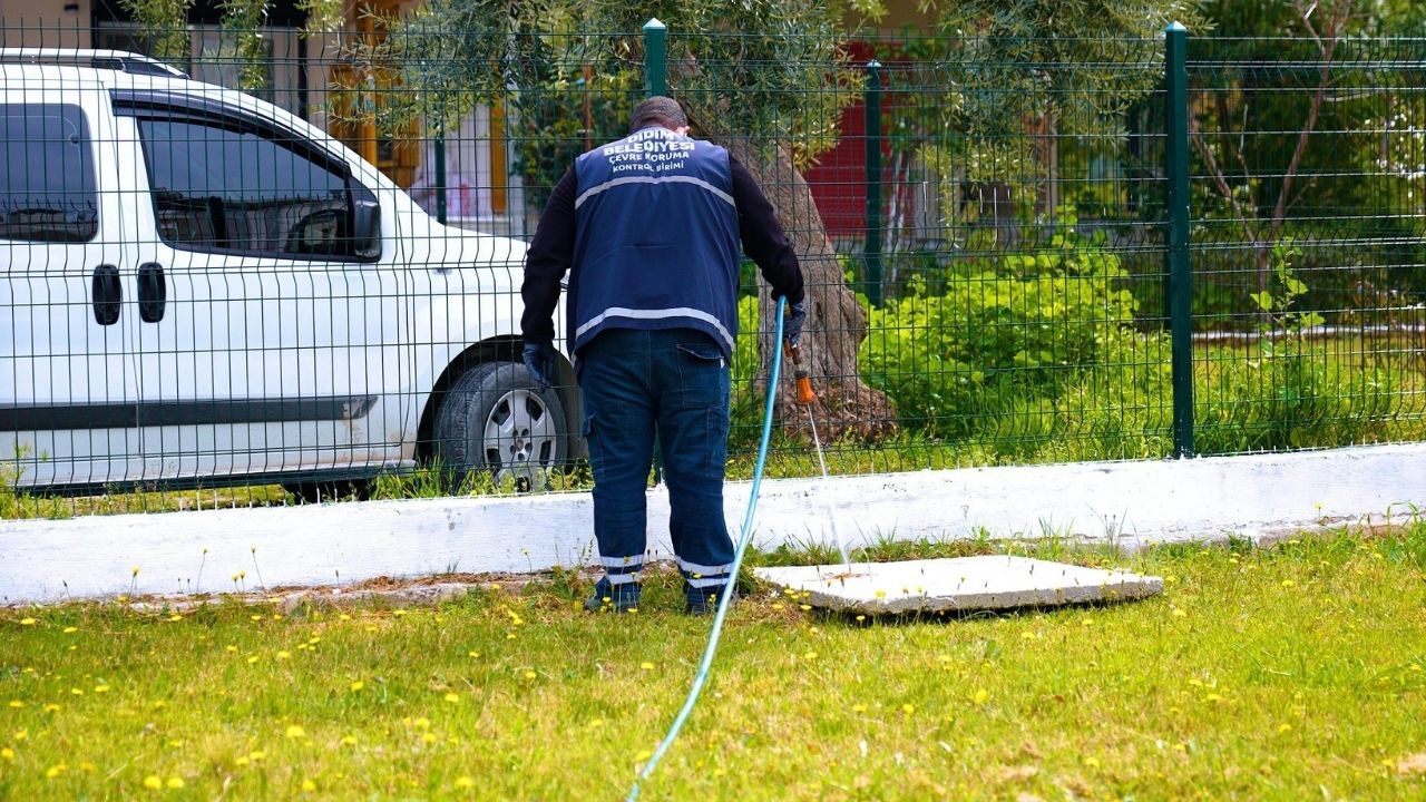 Didim’de Sineklerle Mücadele Aralıksız Sürüyor3