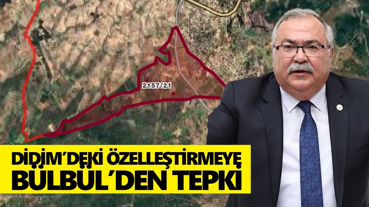 Erdoğan imzaladı! Didim’deki hazine arazisi özelleştirilecek