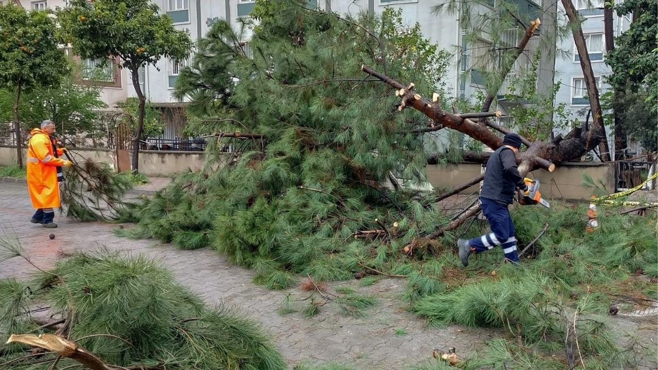 Efeler’de Fırtına Ve Sağanak Yağışa Anında Müdahale1