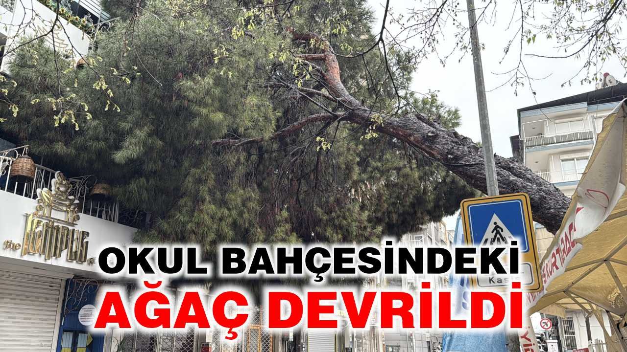 Efeler'de korkutan olay