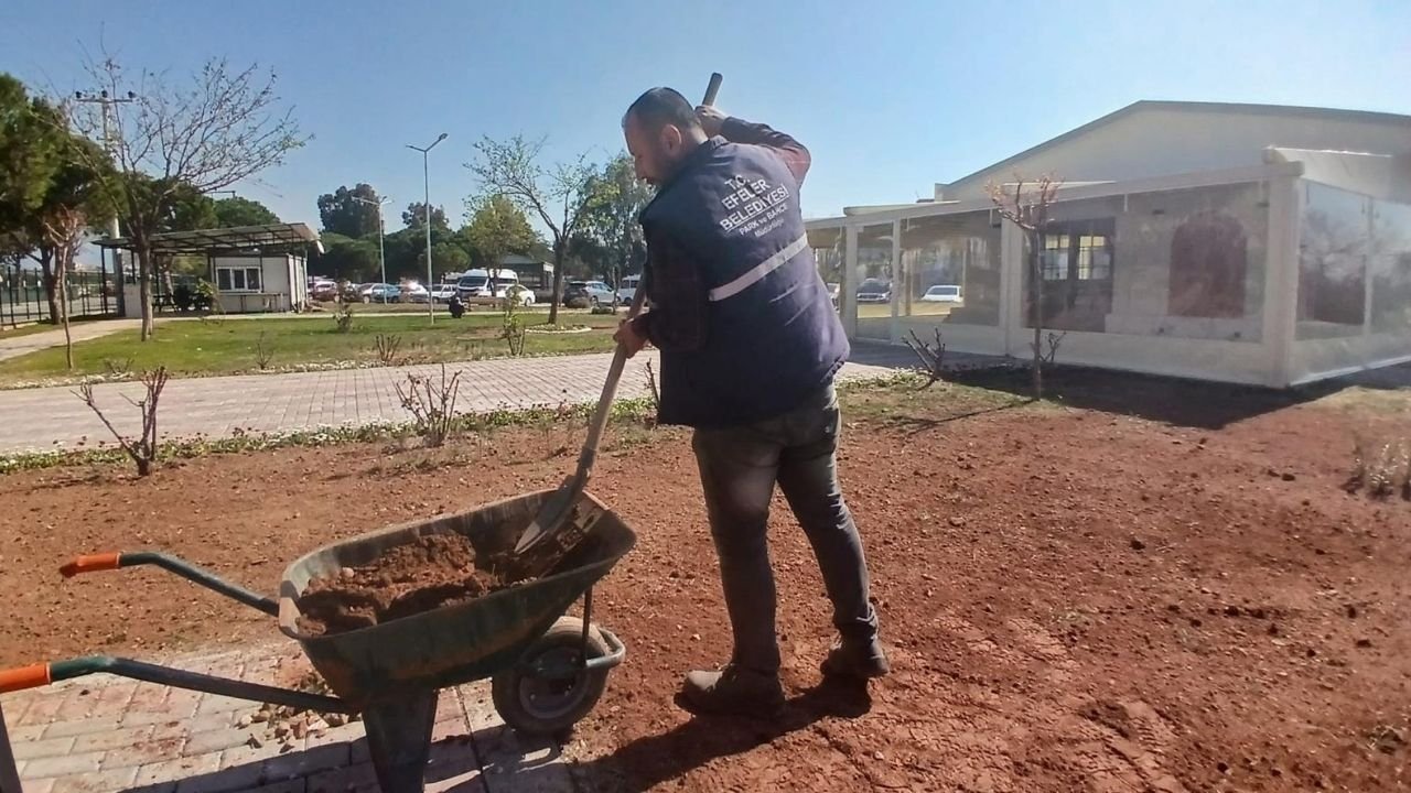 Efeler’de Yaşam Alanları Genişliyor