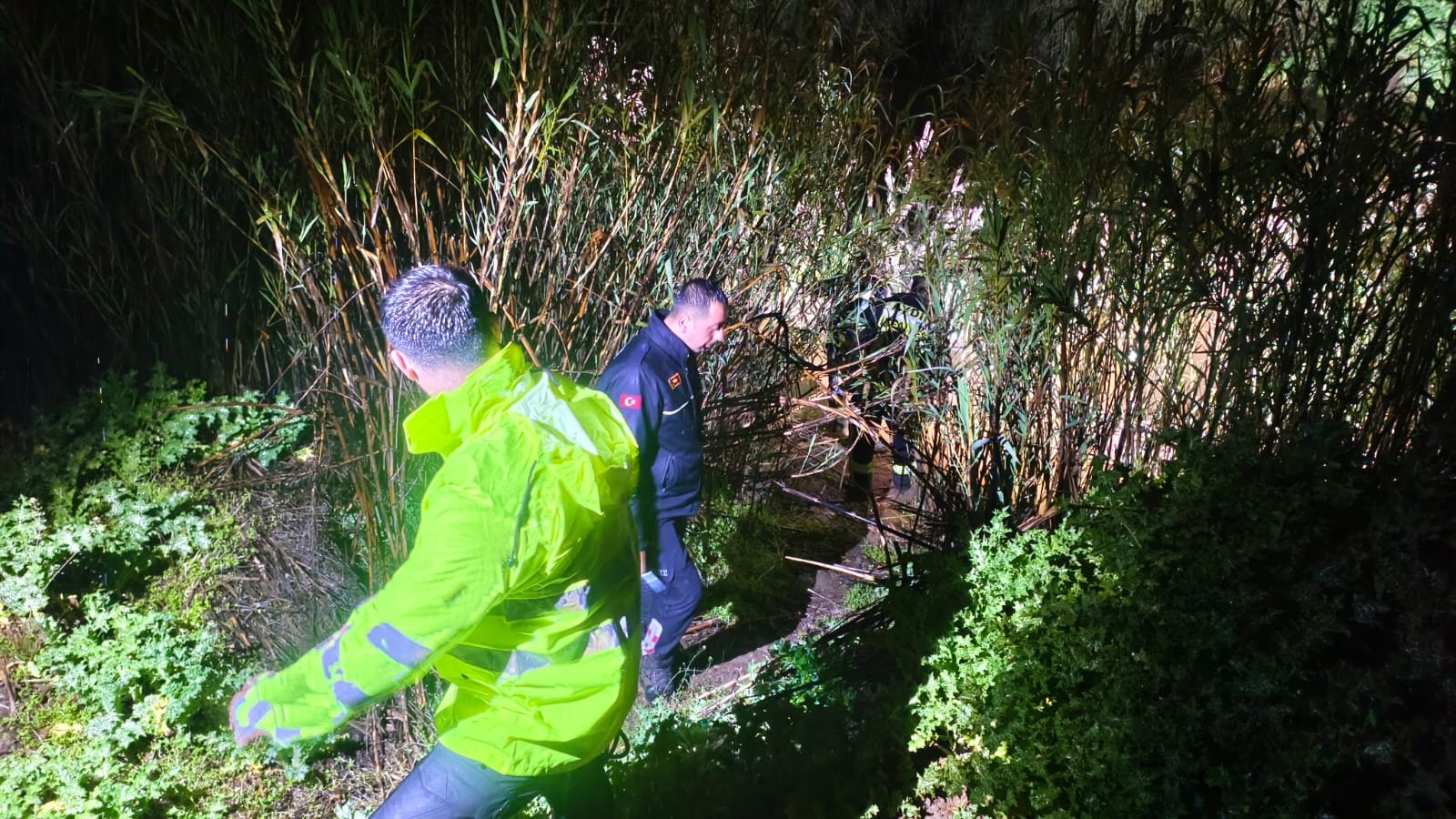 F3638A56 8Ea7 44A9 A092 6C434731B4C1