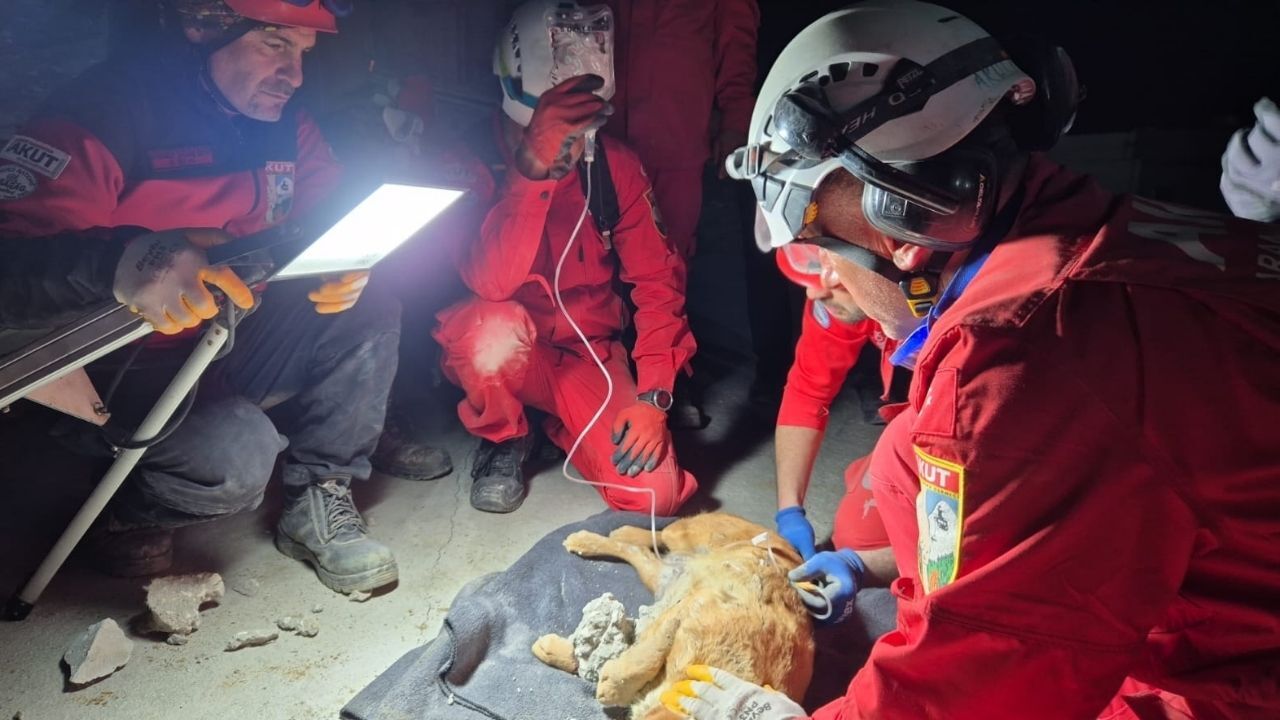 Kuşadası’nda Mahsur Kalan Paris’e Akut El Uzattı2