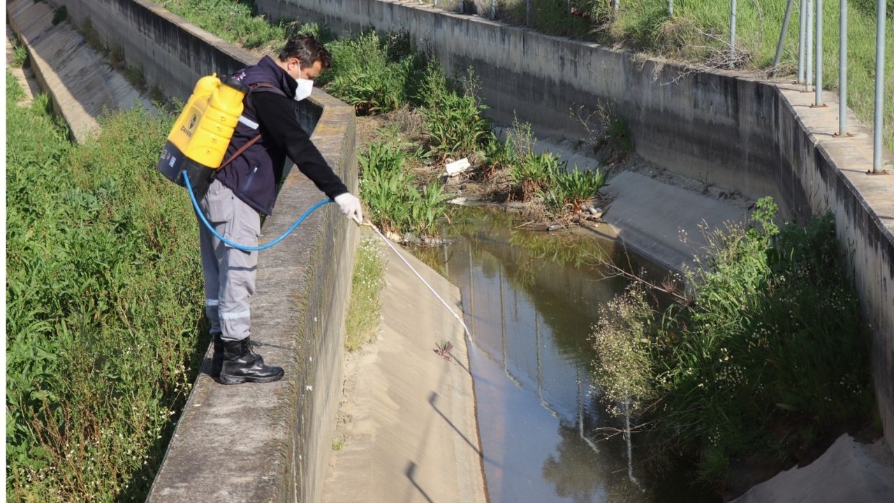 Nazilli Belediyesi Ekipleri Ilaçlama Çalışmalarını Sürdürüyor