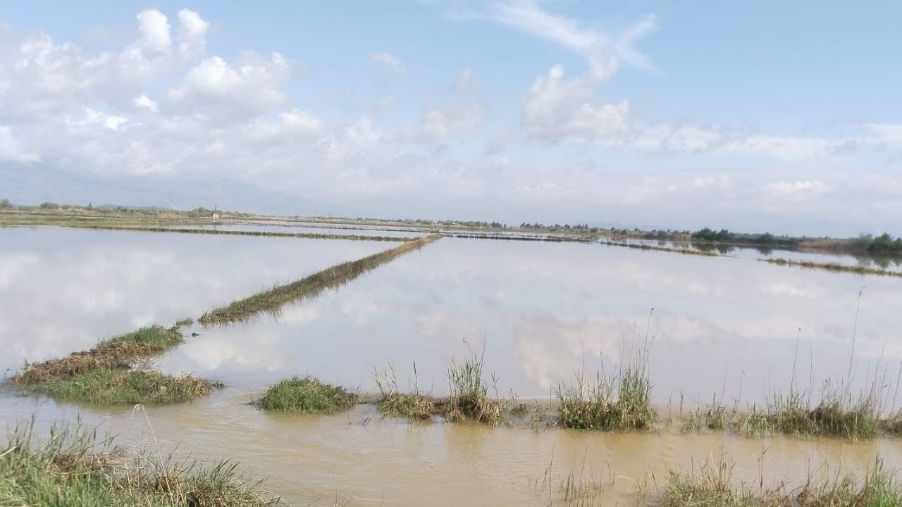 Söke’de Çiftçiler Tedirgin