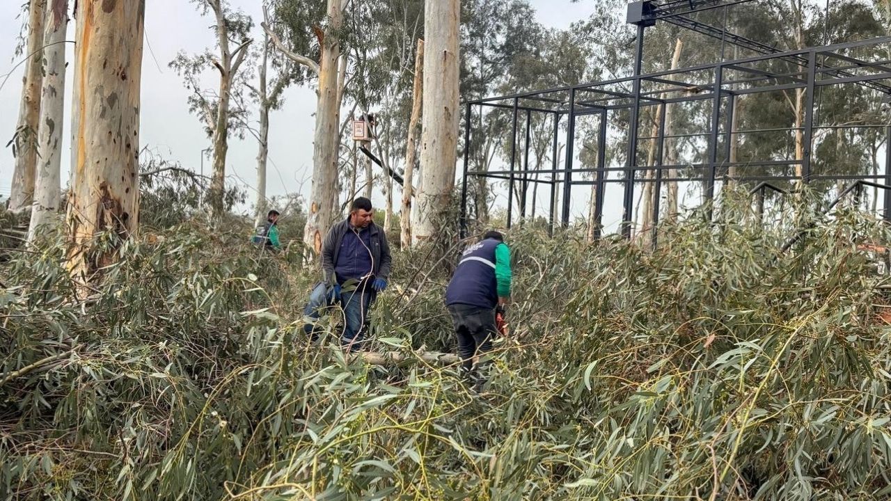 Tepecik Mesire Alanı Yenileniyor