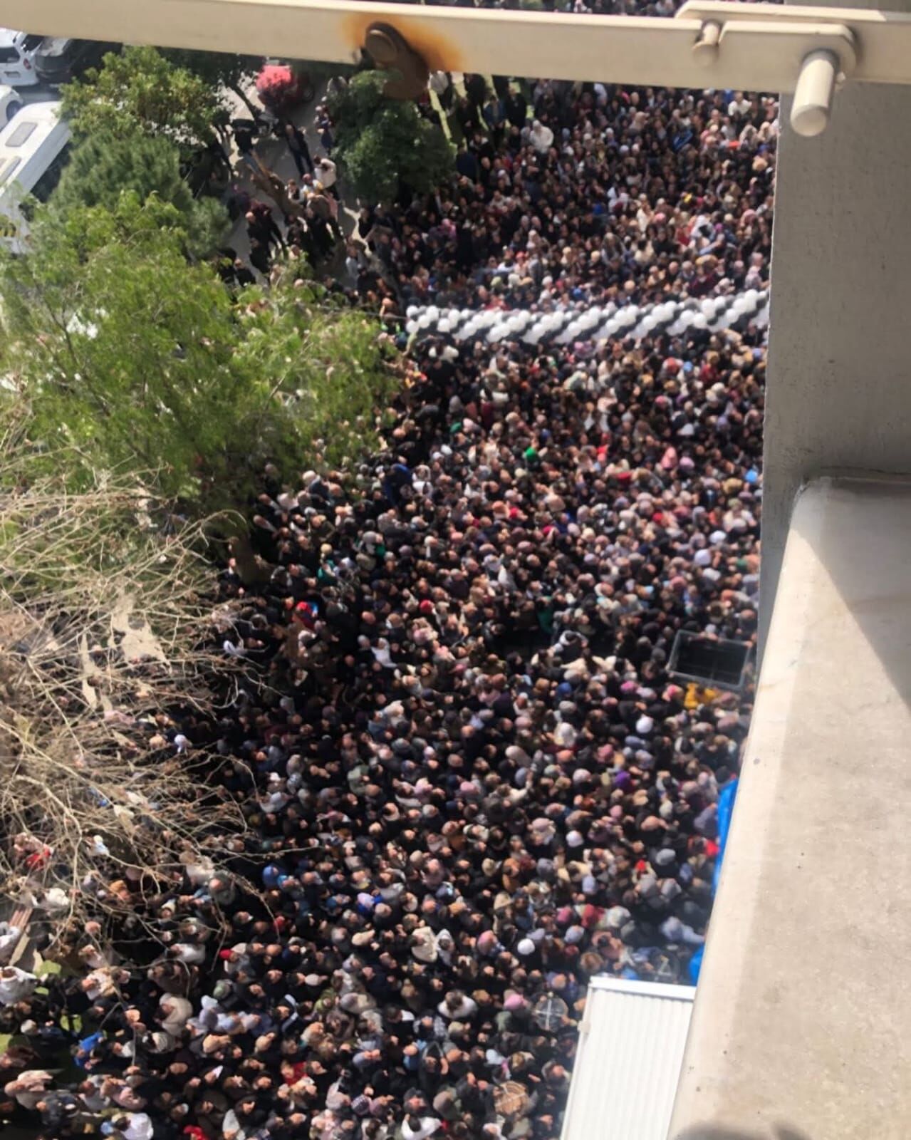 Whatsapp Image 2026 03 05 At 15.27.14