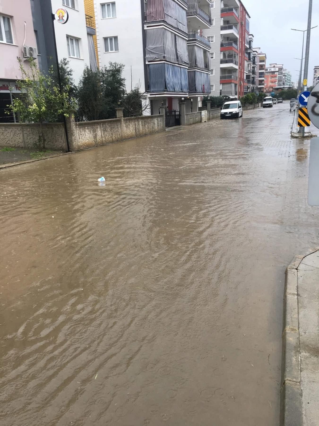 Whatsapp Image 2026 03 17 At 12.57.02 (1)