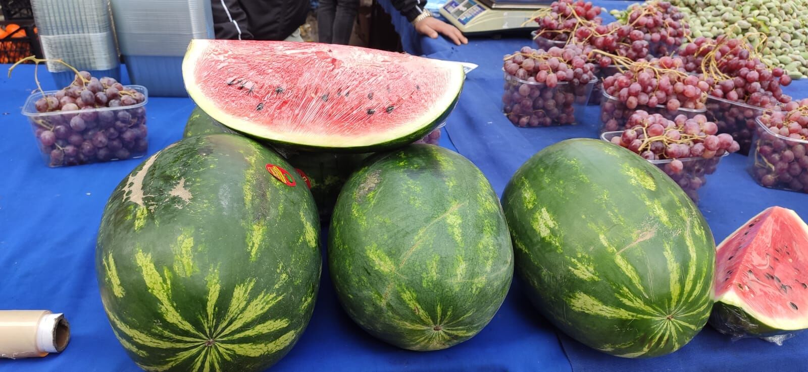 Whatsapp Image 2026 03 18 At 15.08.07 (1)