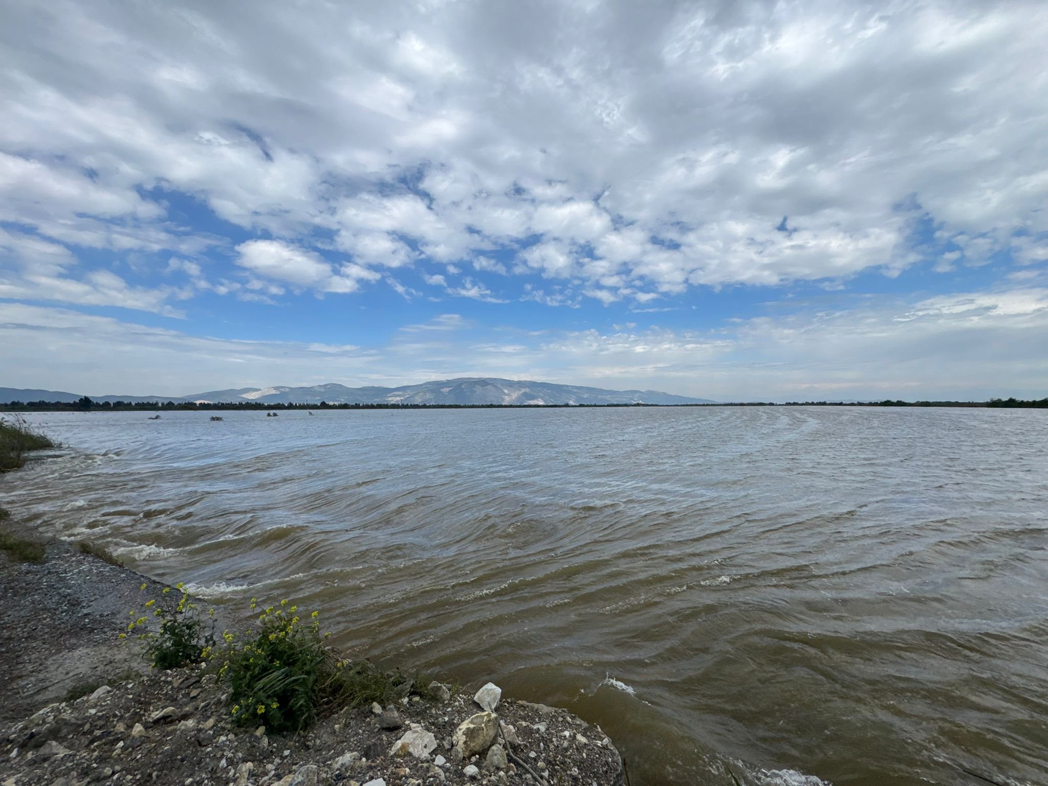 A A 20260409 41062048 41062045 A Y D I N D A B U Y U K M E N D E R E S N E H R I N I N T A S M A S I S O N U C U T A R I M A R A Z I L E R I S U L A R A L T I N D A K A L D I