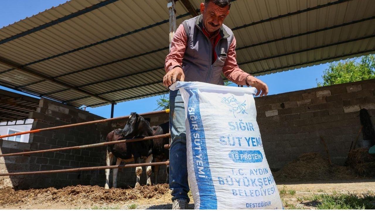 Aydın Büyükşehir’den Germencik’te Üreticiye Yem Desteği2