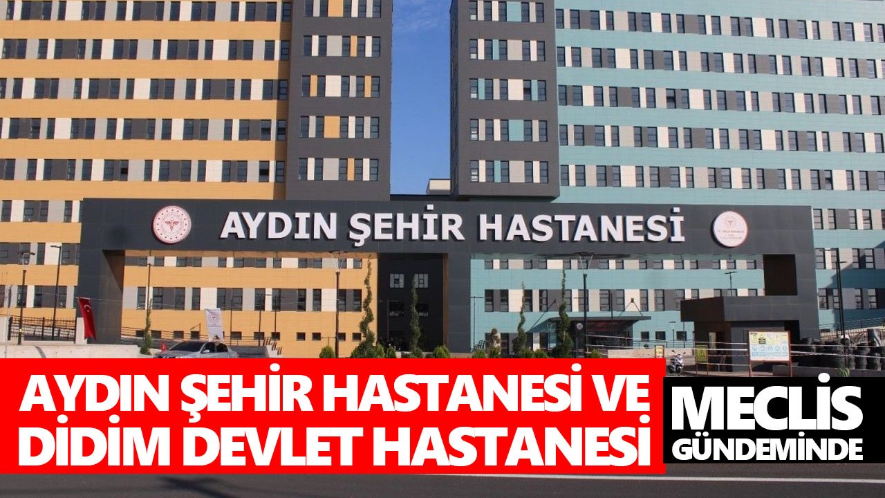 Aydın Şehir Hastanesi ve Didim Devlet Hastanesi meclis gündeminde