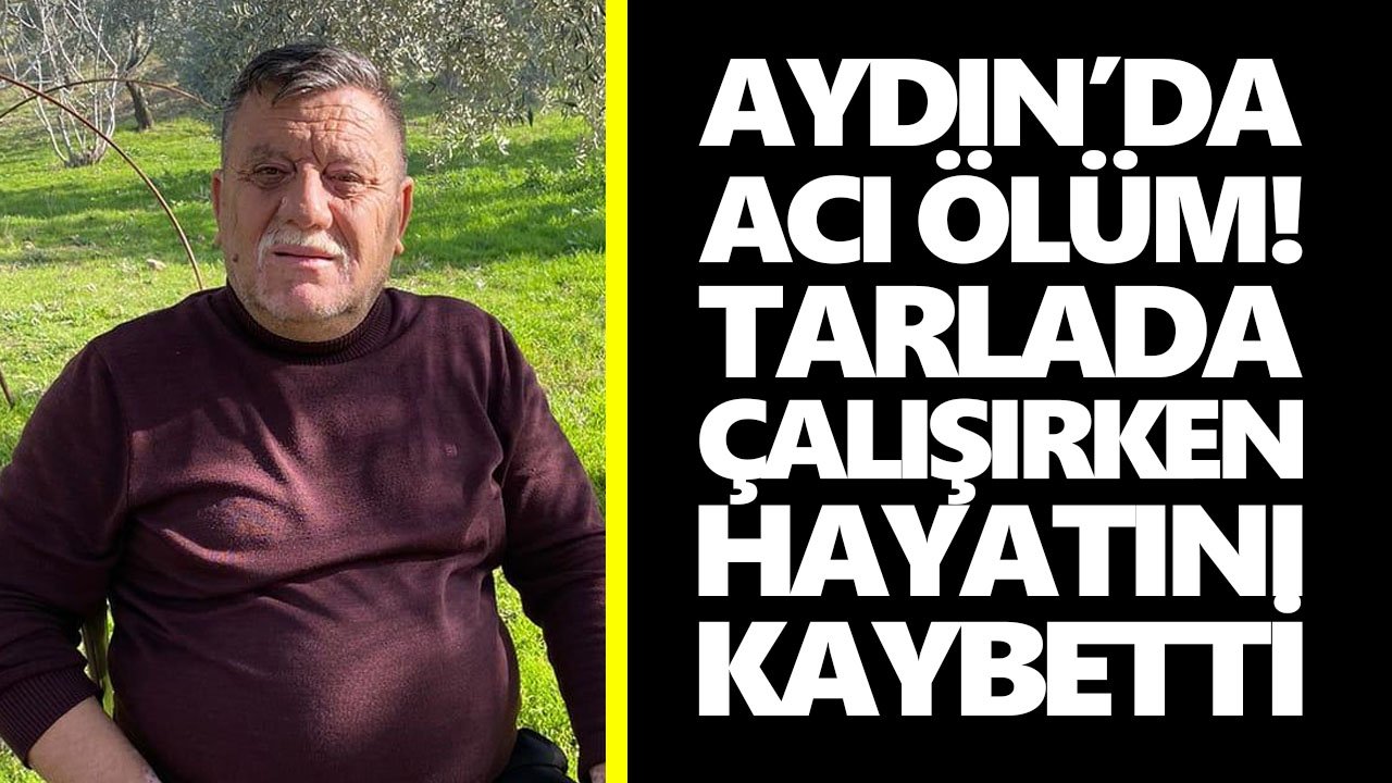 Aydın’da acı ölüm! Tarlada çalışırken hayatını kaybetti