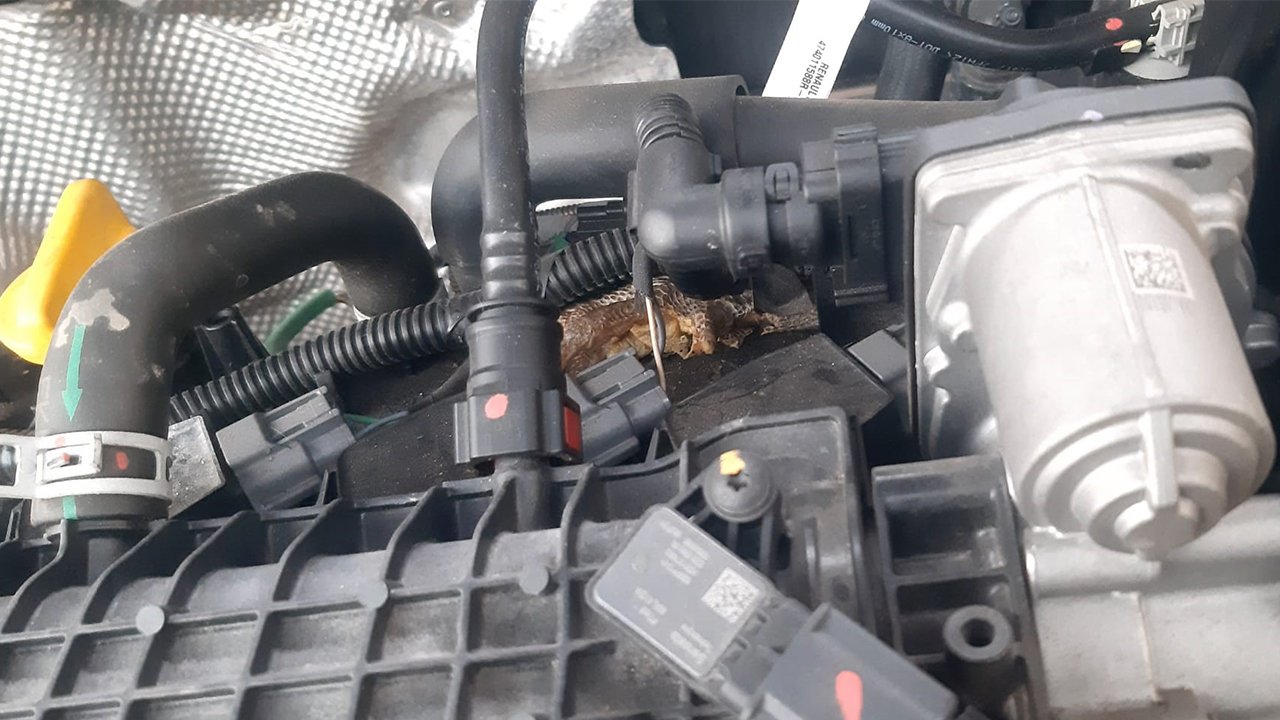 Aydinda Araçtan Çikan Şey Şok Etti̇ 3