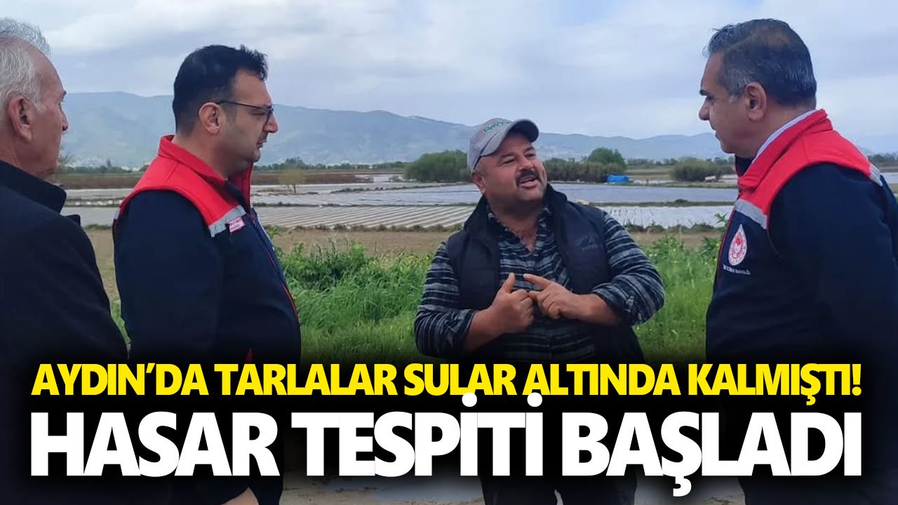 Aydın’da tarlalar sular altında kalmıştı! Hasar tespiti başladı