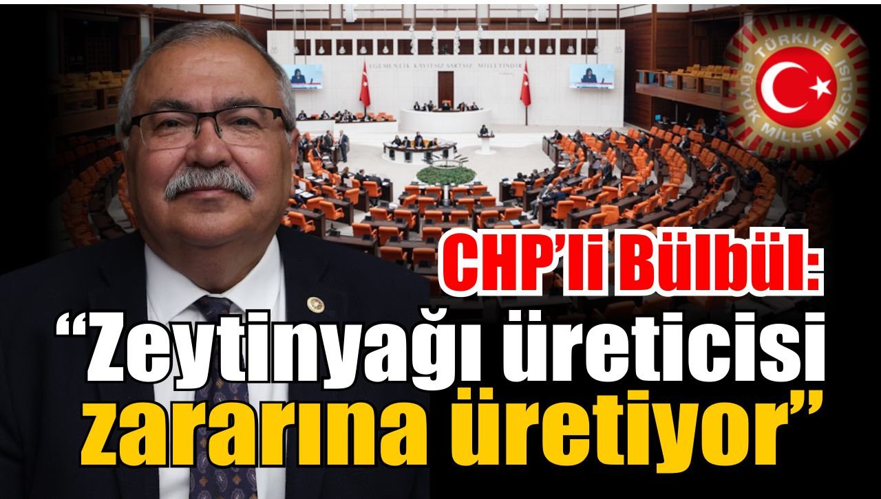 Aydın’da zeytin üreticisi zor durumda