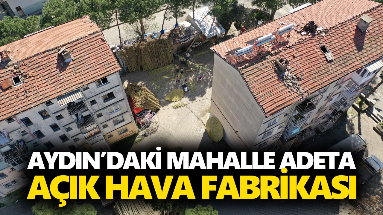 Aydın’daki mahalle adeta açık hava fabrikası