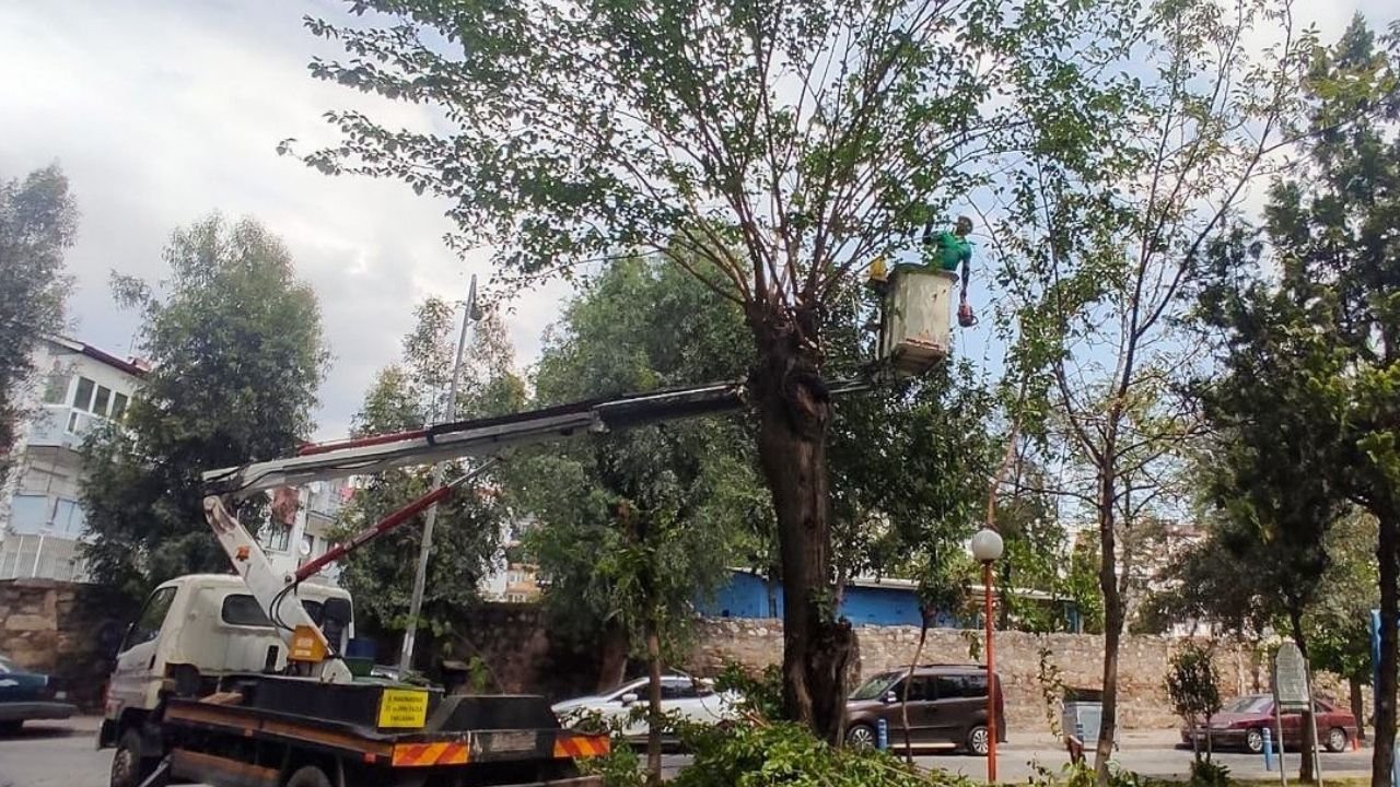 Efeler’de Temizlik Ve Çevre Düzenleme Çalışmaları Sürüyorg