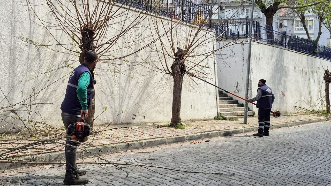 Efeler’in Kültürel Mirası Korunuyor5