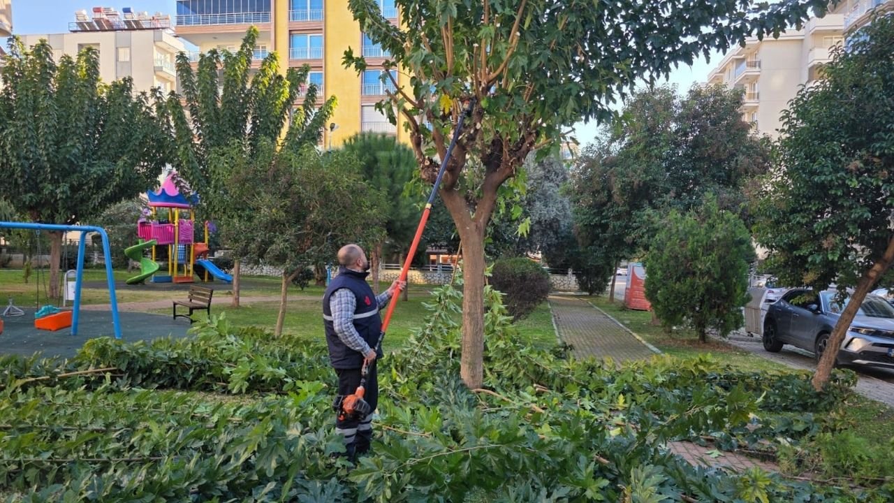 Efeler’in Yeşil Alanları Dönüşüyor