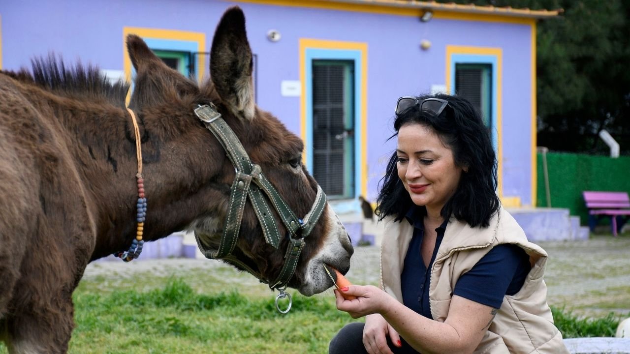 ‘Fıstık’ Artık Kuşadası’nda Mutlu
