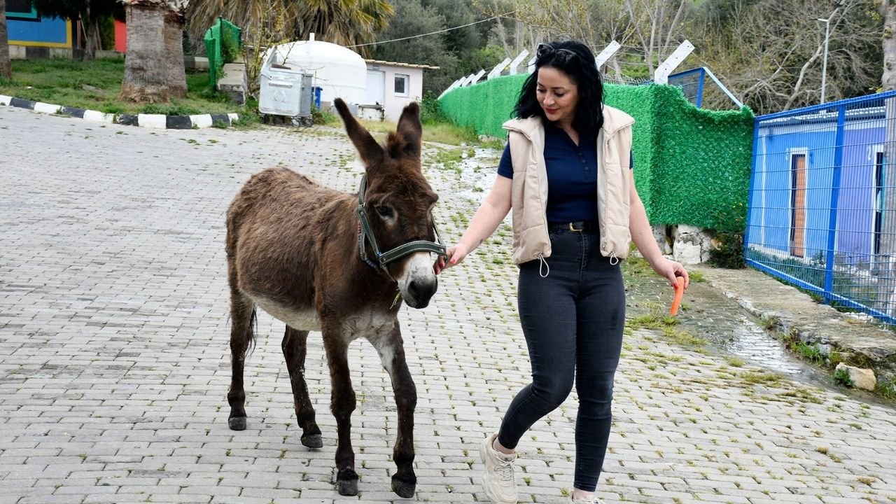 ‘Fıstık’ Artık Kuşadası’nda Mutlu01