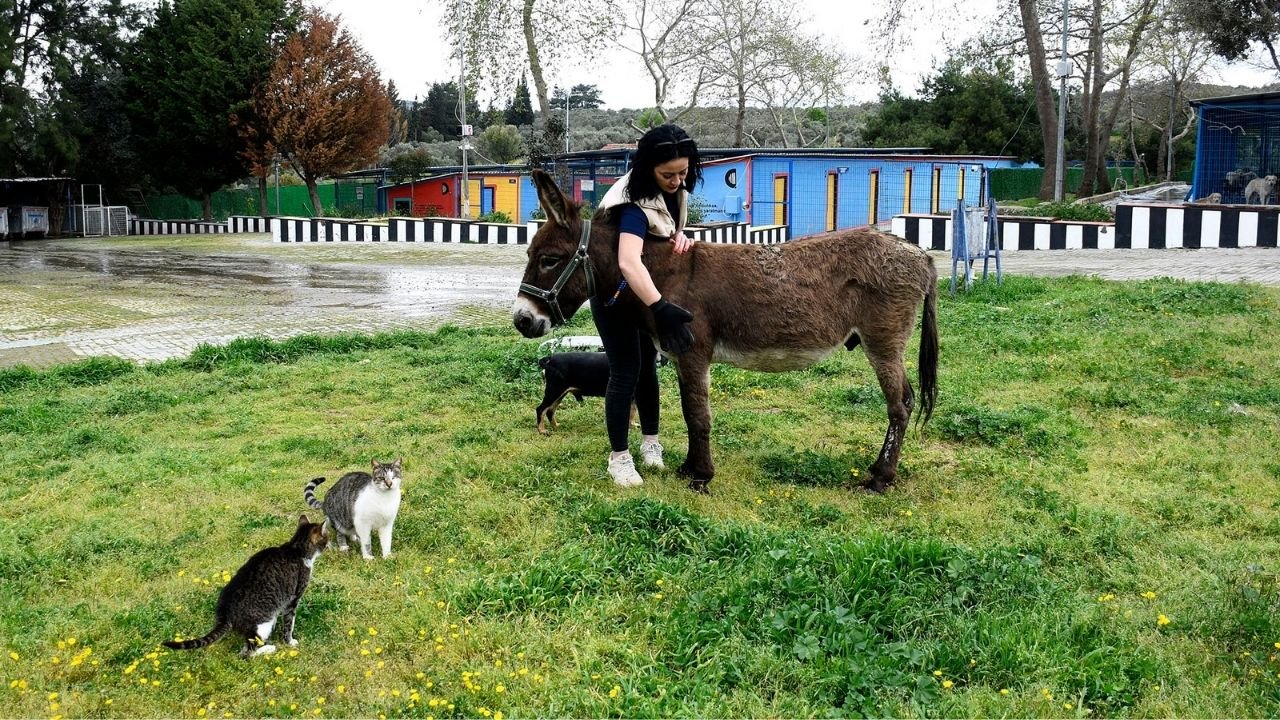 ‘Fıstık’ Artık Kuşadası’nda Mutlu1