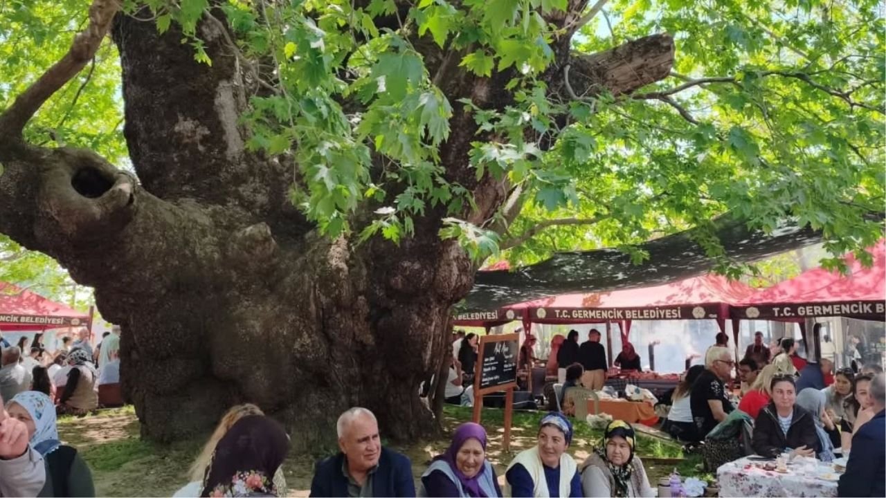 Germencik’te Selatin Köy Pazarı Yoğun Ilgi Gördü3