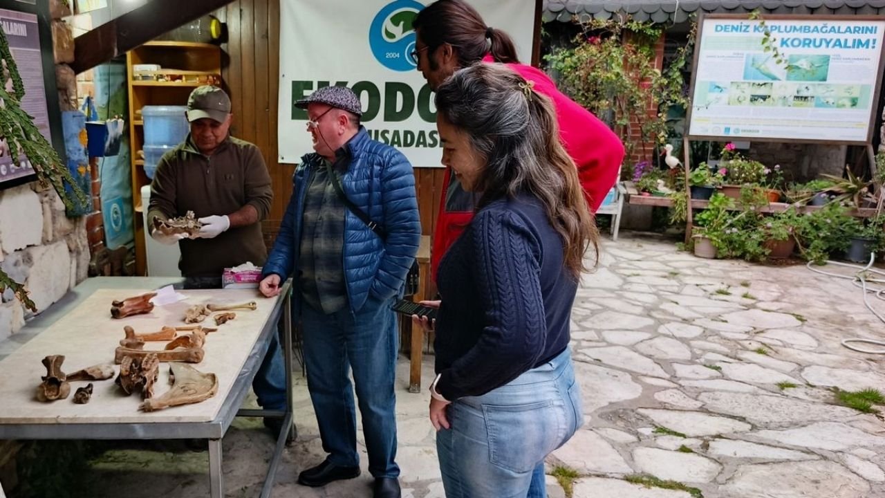 Kuşadası Sahilinde Şaşırtan Keşif