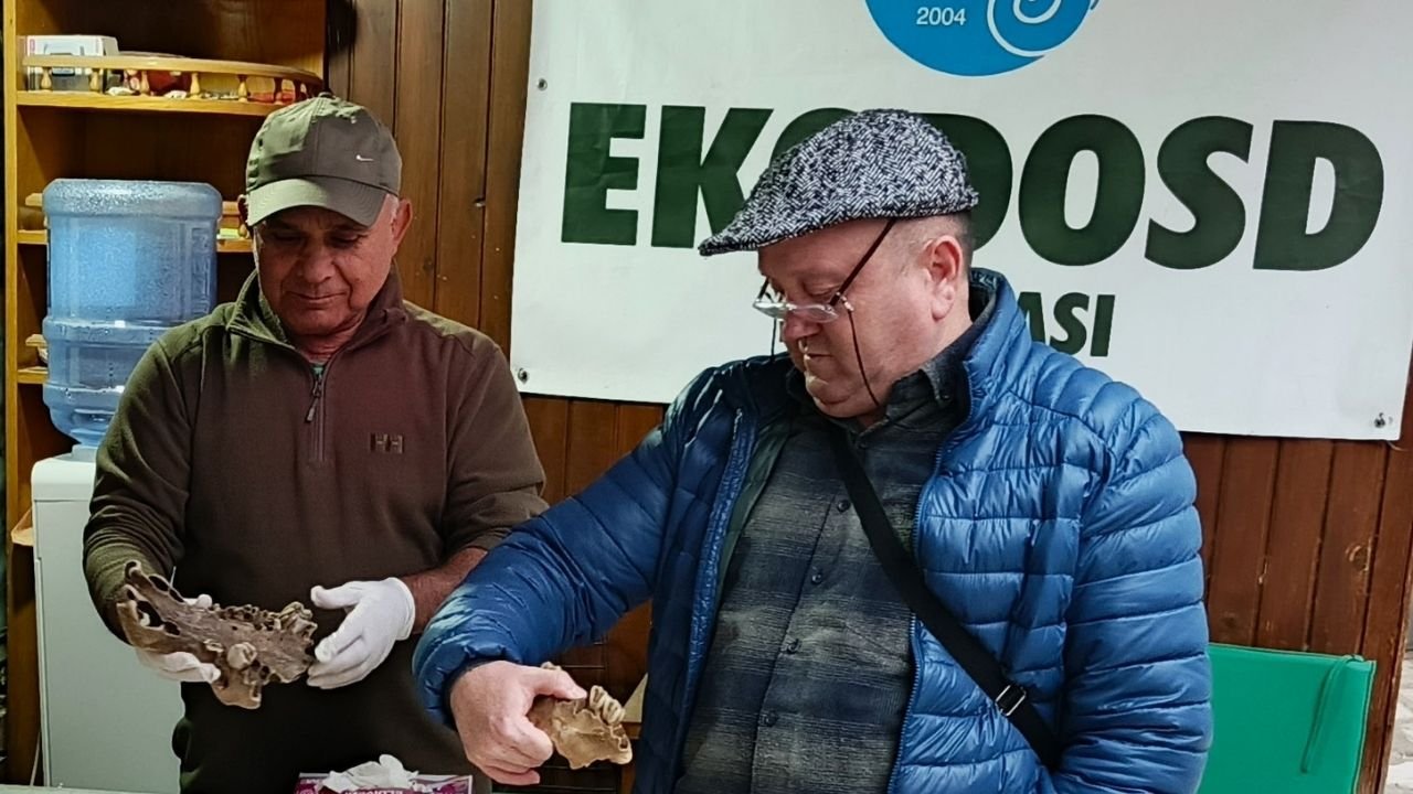 Kuşadası Sahilinde Şaşırtan Keşif4