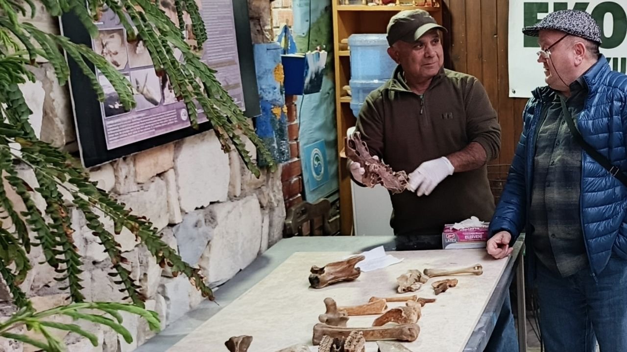 Kuşadası Sahilinde Şaşırtan Keşifb