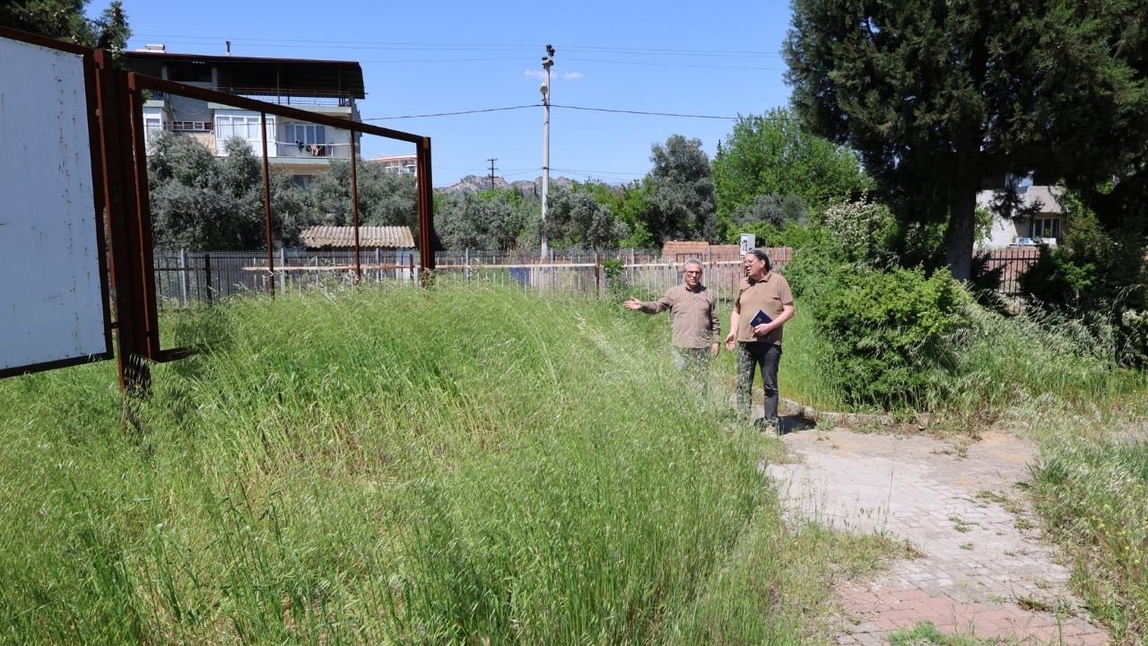 Nazilli’de 2 Metrelik Yabani Otlar Tehlike Saçıyor1