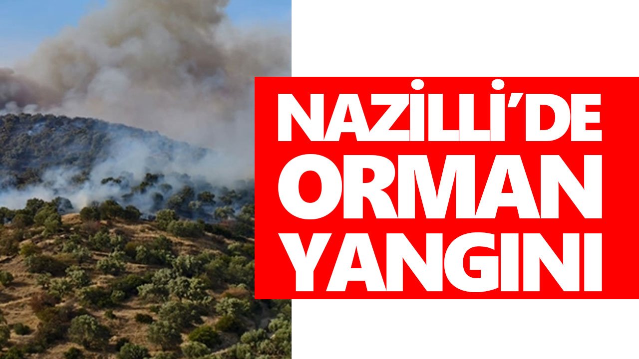 Nazilli'de orman yangını! 4 dönüm alan zarar gördü