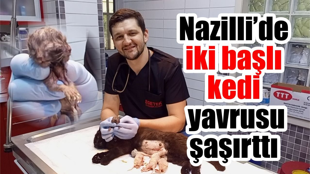 Nazilli'de şaşkınlık yaratan olay