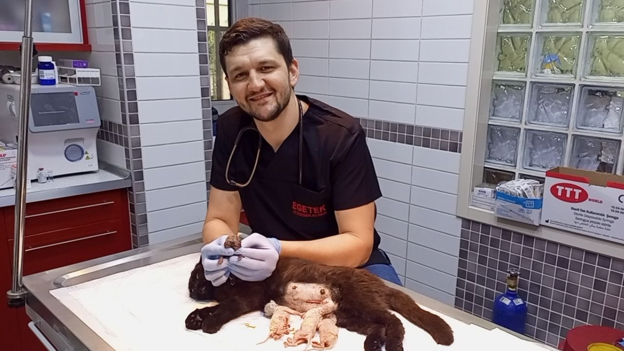 Nazilli'de Şaşkınlık Yaratan Olay5