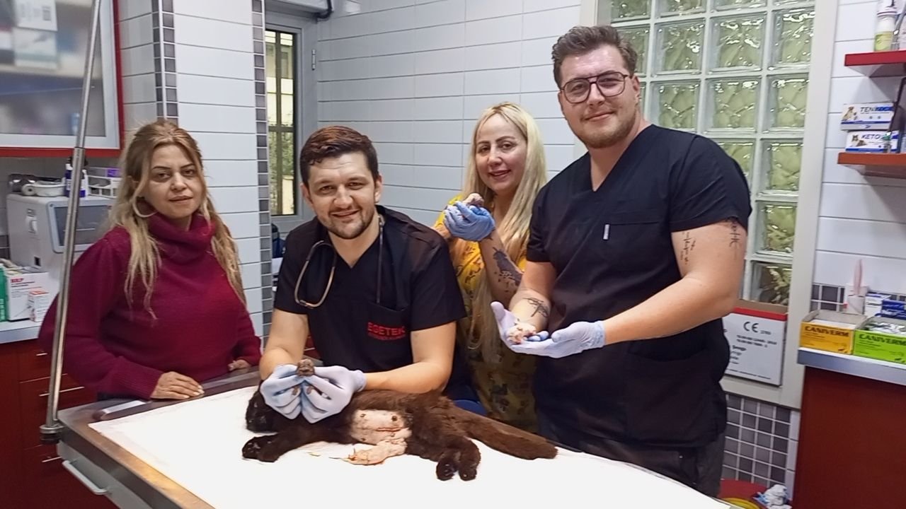 Nazilli'de Şaşkınlık Yaratan Olay6