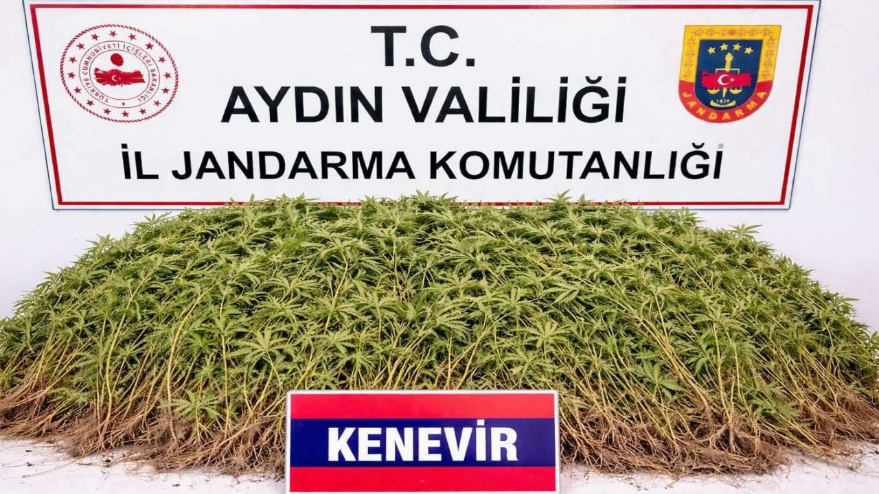 Nazilli’de uyuşturucu operasyonu: 1 kişi tutuklandı