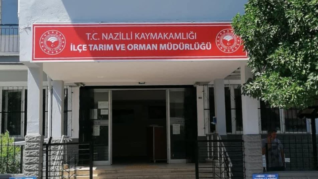 Nazillili üreticilere güzel haber