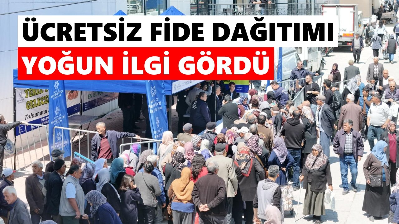 Sultanhisar ve Buharkent'te fide kuyruğu