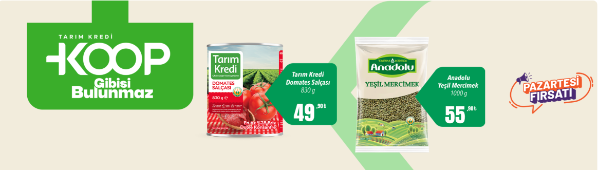 Adsiz-1