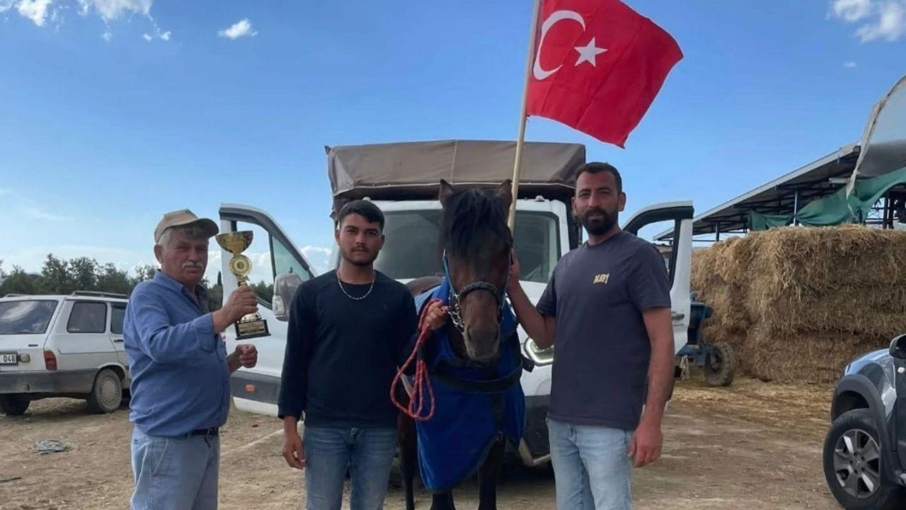 Alpaslan, Nazilli Hipodromunda Zirveye Koştu