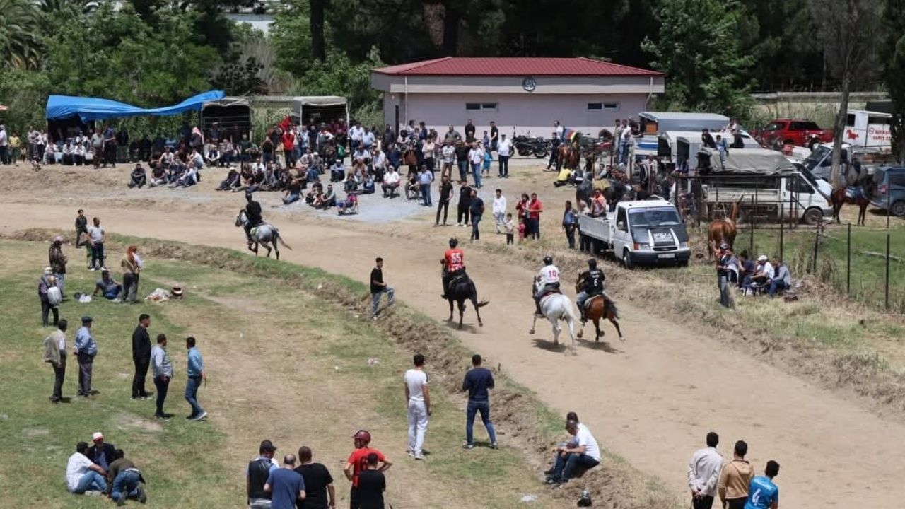 At Yarışı Tutkunları Nazilli'de Buluştu1